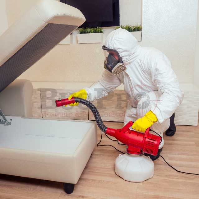 Mosquito Extermination Ann Arbor, Michigan