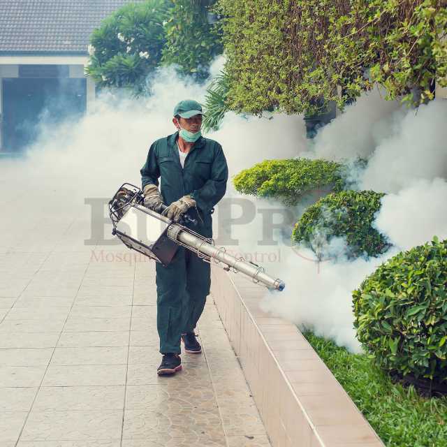 Mosquito Control Ann Arbor
